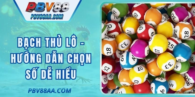 Bạch Thủ Lô - Hướng Dẫn Chọn Số Dễ Hiểu, Dễ Áp Dụng