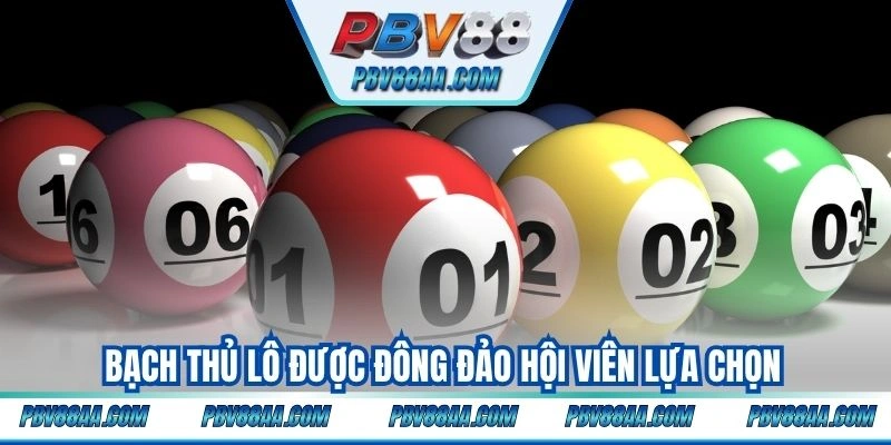 Bạch thủ lô được đông đảo hội viên lựa chọn