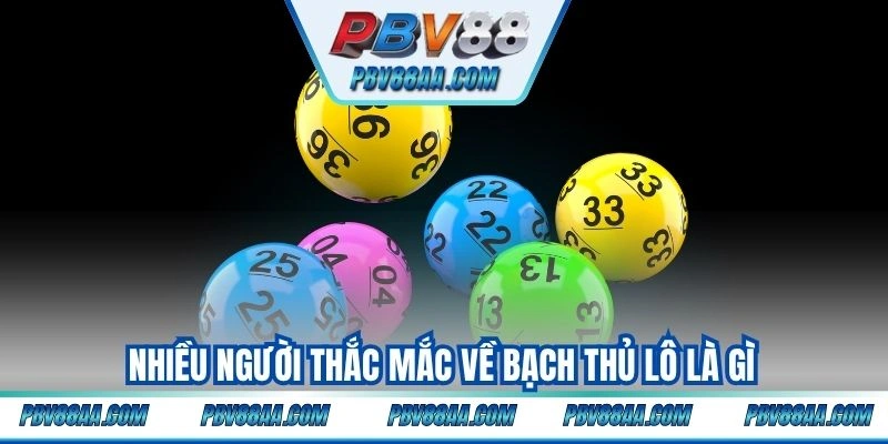 Nhiều người thắc mắc về bạch thủ lô là gì