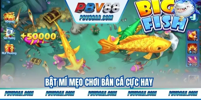 Bật mí mẹo chơi bắn cá cực hay được chính dân chuyên chia sẻ