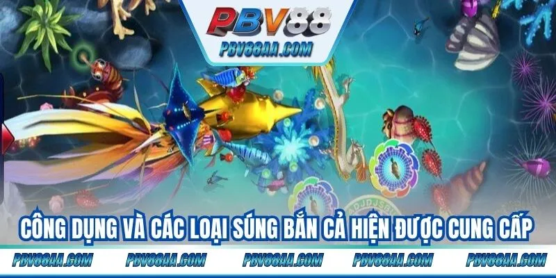 Công dụng và các loại súng bắn cả hiện được cung cấp