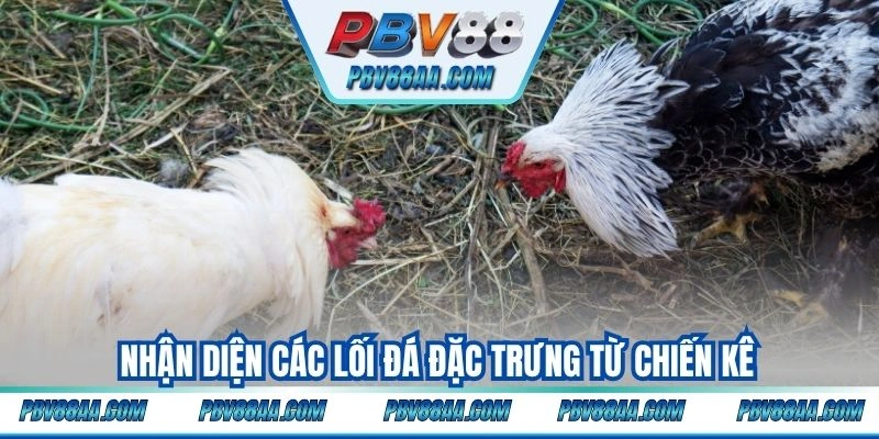 Nhận diện các lối đá đặc trưng từ chiến kê