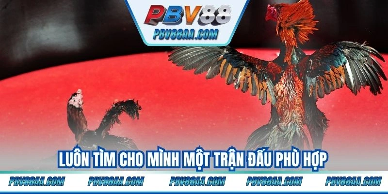 Luôn tìm cho mình một trận đấu phù hợp