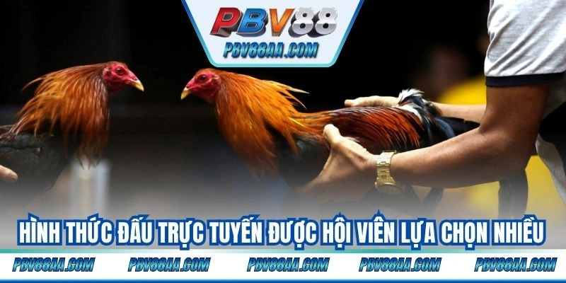 Hình thức đấu trực tuyến được hội viên lựa chọn nhiều