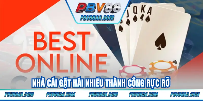 Nhà cái gặt hái nhiều thành công rực rỡ