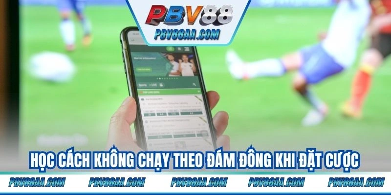 Học cách không chạy theo đám đông khi đặt cược