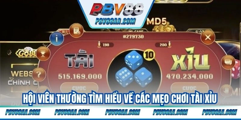 Hội viên thường tìm hiểu về các mẹo chơi tài xỉu
