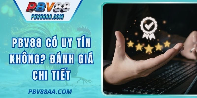 PBV88 Có Uy Tín Không? Đánh Giá Chi Tiết Chuẩn Nhất 2026